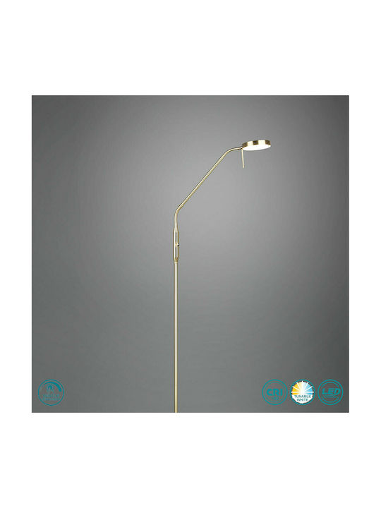 Trio Lighting Monza LED Floor Lamp H145xW25cm. with Warm White Light 1400lm Gold