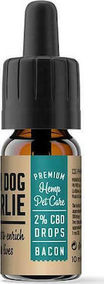 Pharma Hemp Poor Dog Charlie 10ml für Angst- und Stressbewältigung