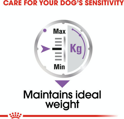 Royal Canin Care Υγρή Τροφή Σκύλων σε Φακελάκι με Κρέας 85gr