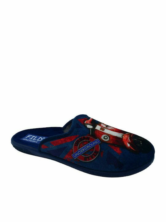 Fild Anatomic Fild Anatomic