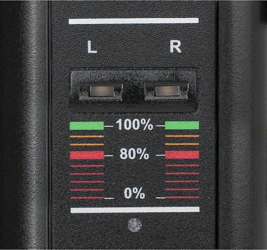 Swit S-3822S Double Battery Charger