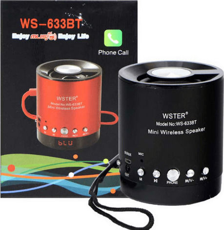 WSTER WS-633BT Bluetooth Speaker 3W with Radio and Battery Life up to 6 hours Black
