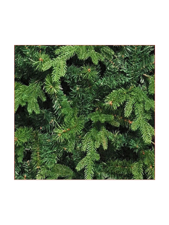 Christmas Tree Deaware Silver Fir 210cm with 2926 Branches