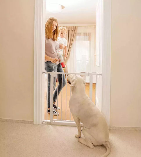 Lionelo Truus Slim Foldable Security Door Simple Placement made of Metal in Gray Color 105x78cm 1pcs