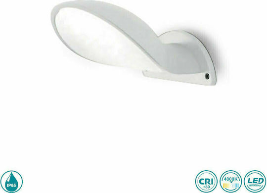 Gea Luce Spot de exterior montat pe perete LED IP65 10W cu Alb Natural Lumină
