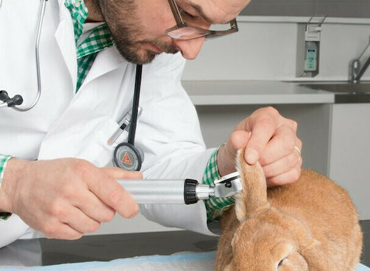 Heine Beta 200 Otoscope