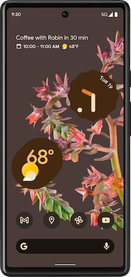 Google Pixel 6 5G (8GB/128GB) Stormy Black