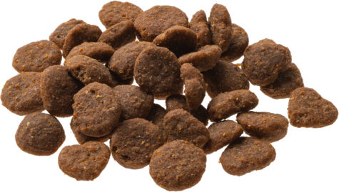 Granata Pet Foods Delicatessen Cat Dry Food with Deer / Poultry / Pomegranate 0.3kg