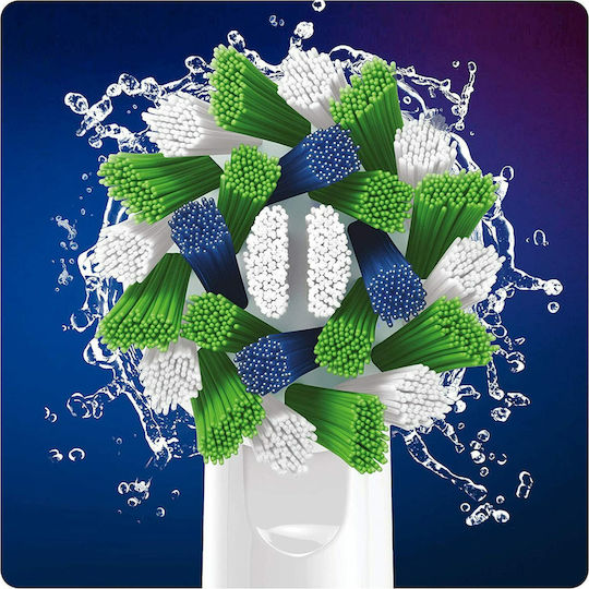 Oral-B Cross Action CleanMaximiser Ersatzköpfe für XXL-Pack 321101 8 Stück