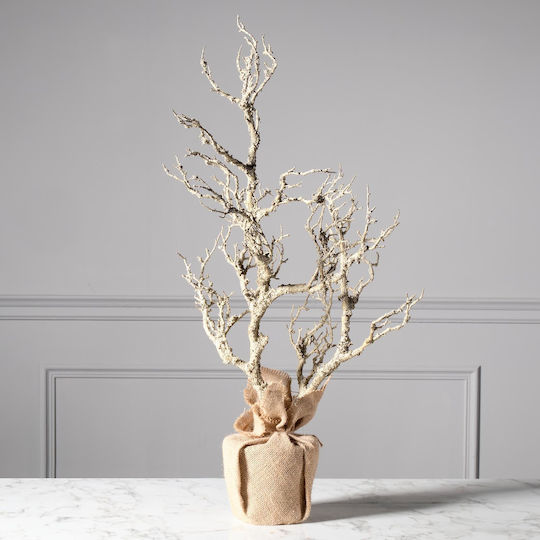 Bonsai in Pot Supergreens