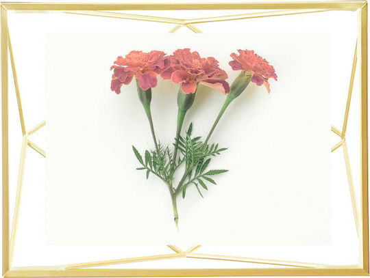 Umbra Prisma Gd Wall-mounted Metal Photo Frame with Gold Frame