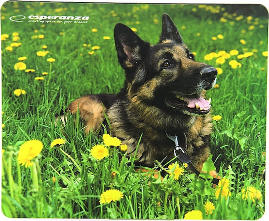 Esperanza EA133 Mouse Pad (240mm) Earth EA133