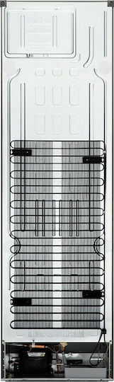 LG Ψυγειοκαταψύκτης 384lt Total NoFrost Υ203xΠ59.5xΒ68.2εκ. Inox GBB62PZHMN