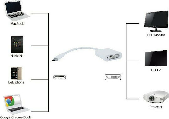Powertech Конвертор USB-C мъжки към DVI-I женски Бял 1бр PTH-036