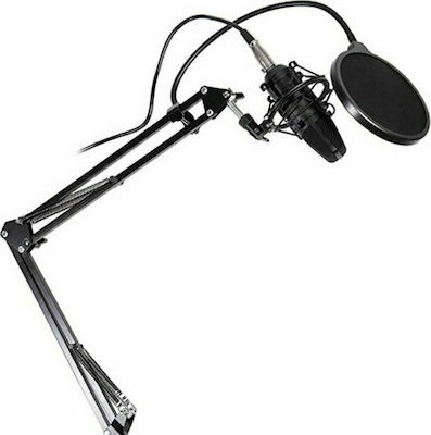 Tracer Πυκνωτικό Μικρόφωνο XLR Studio Pro Τοποθέτηση Shock Mounted/Clip On Φωνής