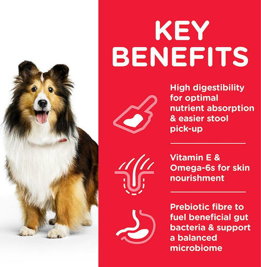 Hill's Science Plan Sensitive Stomach & Skin Medium 2.5kg Dry Food for Adult Medium Breed Dogs with Chicken