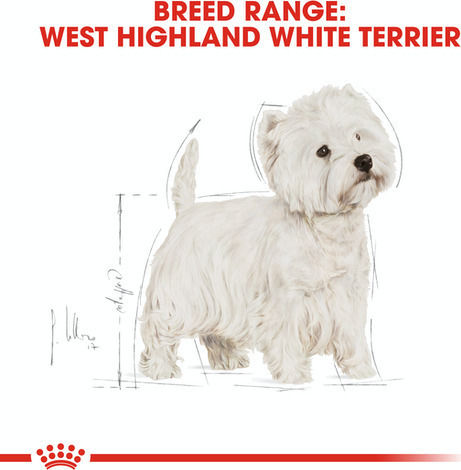 Royal Canin West Highland White Terrier Adult 1.5kg Dry Food for Adult Small Breed Dogs with Chicken and Rice