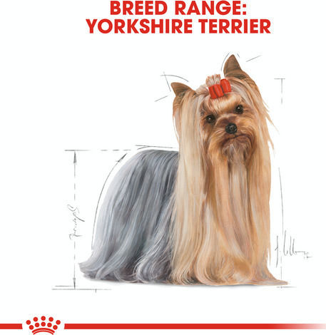 Royal Canin Adult Yorkshire Terrier 0.5kg Dry Food for Adult Small Breed Dogs with Poultry and Rice