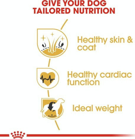 Royal Canin Adult Golden Retriever 12kg Dry Food Gluten-Free for Adult Large Breed Dogs with Poultry and Rice
