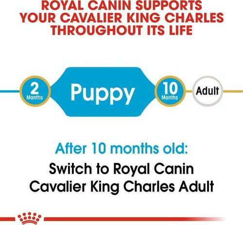 Royal Canin Puppy Cavalier King Charles 1.5kg Dry Food Gluten-Free for Small Breed Puppies with Poultry and Rice