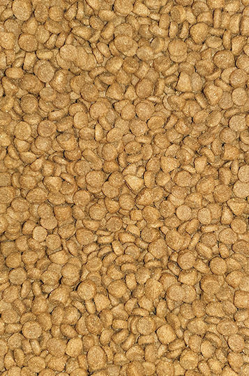 Viozois Vio Terpsi 20kg Ξηρά Τροφή για Ενήλικους Σκύλους με Κρέας