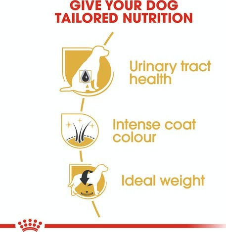 Royal Canin Adult Miniature Schnauzer 3kg Dry Food for Adult Dogs with Brown rice and Chicken
