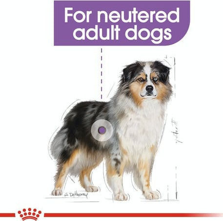 Royal Canin Medium Sterilised 3kg Dry Food Gluten-Free for Adult Neutered Medium Breed Dogs with Poultry