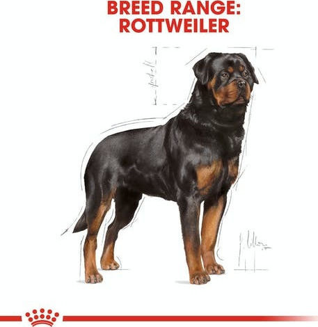 Royal Canin Adult Rottweiler 12kg Dry Food for Adult Large Breed Dogs with Rice and Poultry