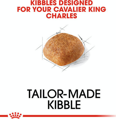 Cavalier King Charles Adult 1.5kg Dry Food for Adult Small Breed Dogs with Chicken and Rice