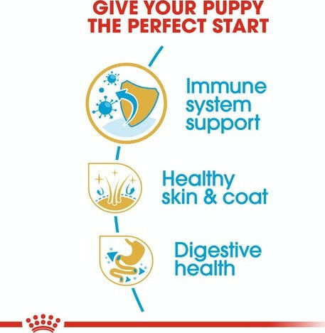 Royal Canin Puppy Golden Retriever 12kg Dry Food for Large Breed Puppies with Poultry