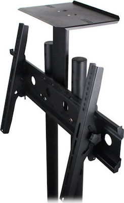 HOP1000387-1 TV Mount Floor up to 55" and 50kg