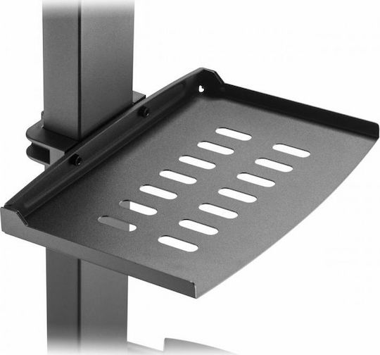 Sbox FS-224 Δαπέδου έως 55" και 35kg