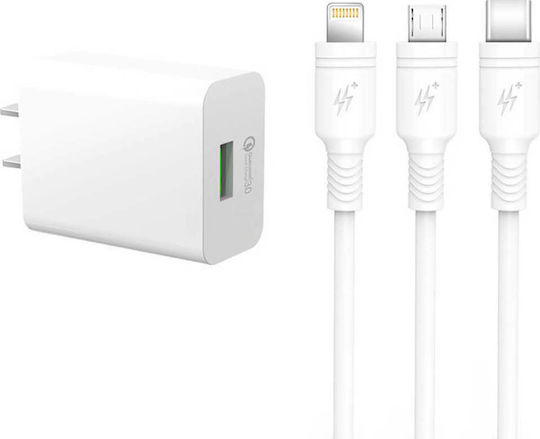 XO Încărcător cu Port USB-A și Cablu micro USB Albς (L36)