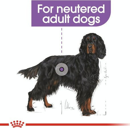 Royal Canin Maxi Sterilised 3kg Dry Food for Adult Neutered Large Breed Dogs with Poultry