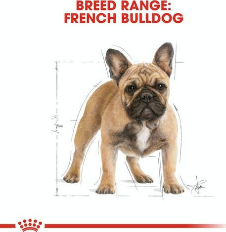 Royal Canin Adult French Bulldog 3kg Dry Food Gluten-Free for Adult Small Breed Dogs with Poultry