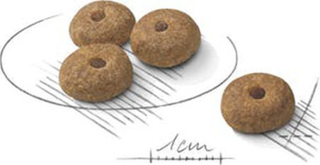 Royal Canin Mini Sterilised 3kg Dry Food for Adult Neutered Small Breed Dogs with Poultry