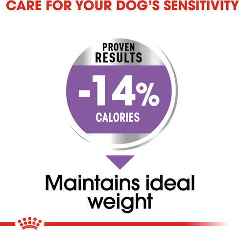 Royal Canin Mini Sterilised 3kg Dry Food for Adult Neutered Small Breed Dogs with Poultry