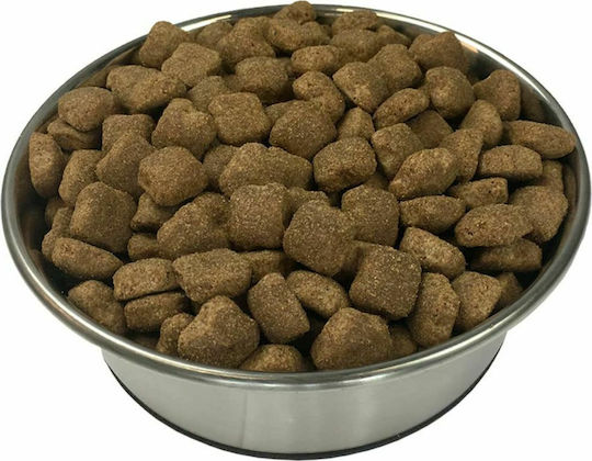Premium Maxi Adult Essence 15kg Dry Food for Adult Large Breed Dogs with Beef and Chicken