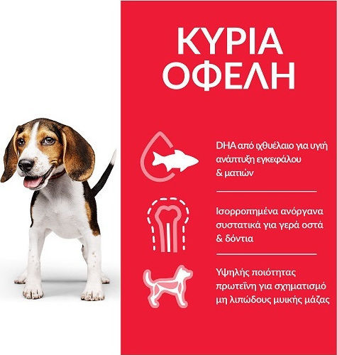 Hill's Science Plan Puppy <1 Medium 14kg Dry Food Gluten-Free for Medium Breed Puppies with Chicken