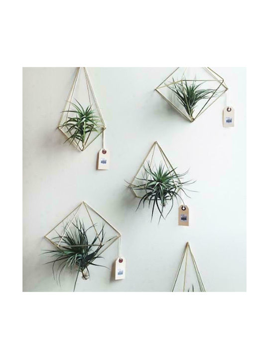 Umbra 3D Wall Decor Geometric Shapes Gold Made of Metal 6 Pieces