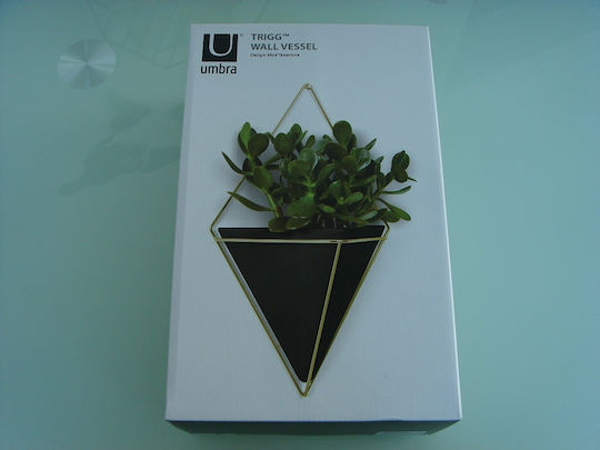Umbra Trigg Саксия За Цветя Керамична Черна 22x10x39см