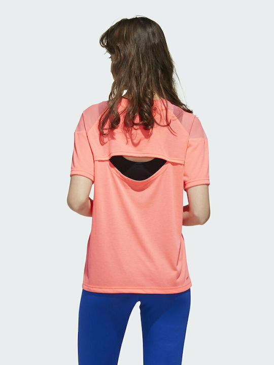 adidas adidas