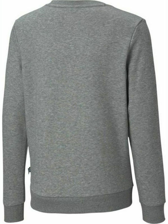 Puma Kids Sweatshirt Gray