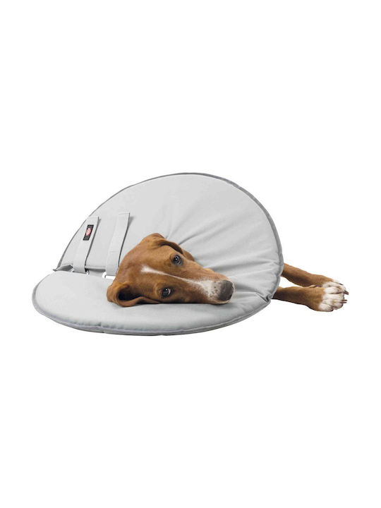 Trixie Protective Dog Collar in White color Large / XLarge 27mm x 53 - 56cm