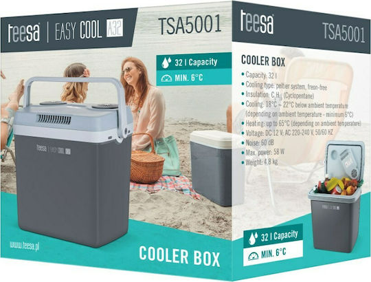 Teesa Easy Cool A25 Φορητό Ψυγείο Θερμοηλεκτρικό 25lt 12V Γκρι