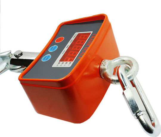 Factory Electronic Professional Hanging Scale with Weighing Capacity of 500kg and Division 200gr
