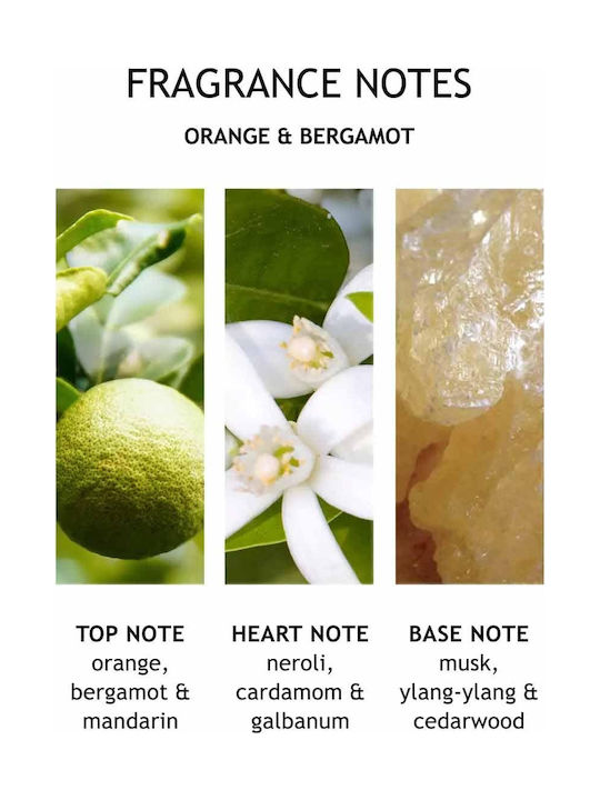 Molton Brown Diffuser με Άρωμα Orange & Bergamot Aroma Reeds DIF012VHR 150ml
