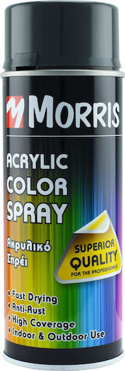 Benman Spray Farbe Acrylic mit Glänzend Effekt Verkehr Grau B RAL 7043 400ml
