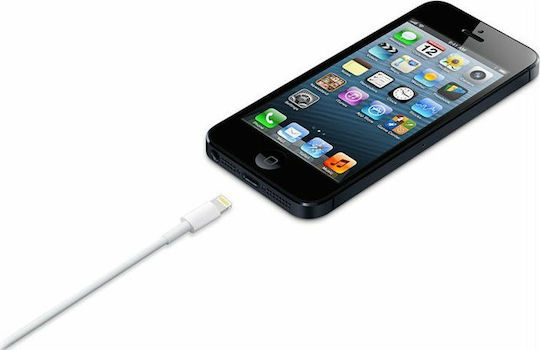 Apple USB-A to Lightning Cable White 0.5m (ME291ZM/A)