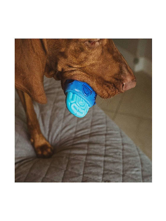 Zee-Dog Brain Freeze Παιχνίδι Σκύλου από Καουτσούκ Small 10εκ. Μπλε 1τμχ